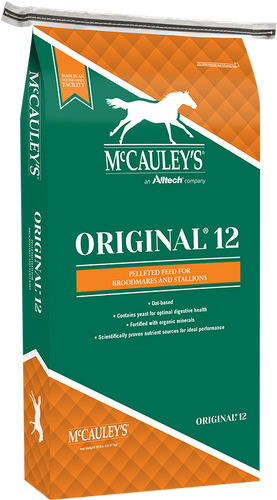 McCauley's Original® 12 Cube