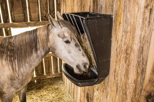 Tarter Wall Mount Poly Hay & Grain Feeder