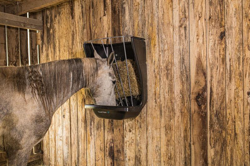 Tarter Wall Mount Poly Hay & Grain Feeder