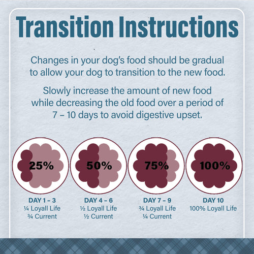 Nutrena® Loyall Life® Beef & Barley Recipe Adult Dog Food