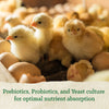 NatureWise® Chick Starter Grower 18% Protein Crumble Medicated