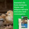 NatureWise® Chick Starter Grower 18% Protein Crumble Medicated