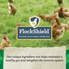 NatureWise® 17% Protein Layer Crumble Poultry Feed