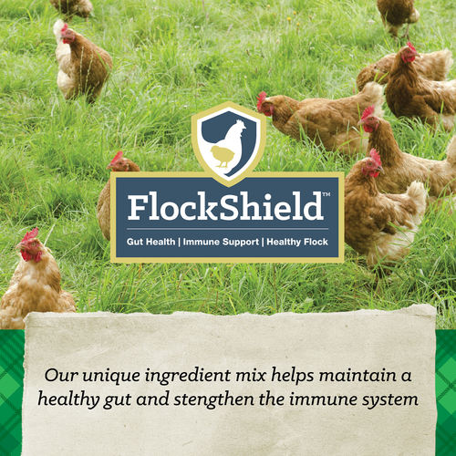 NatureWise® 17% Protein Layer Crumble Poultry Feed
