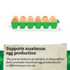 NatureWise® 17% Protein Layer Crumble Poultry Feed
