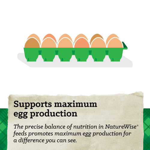NatureWise® 17% Protein Layer Crumble Poultry Feed