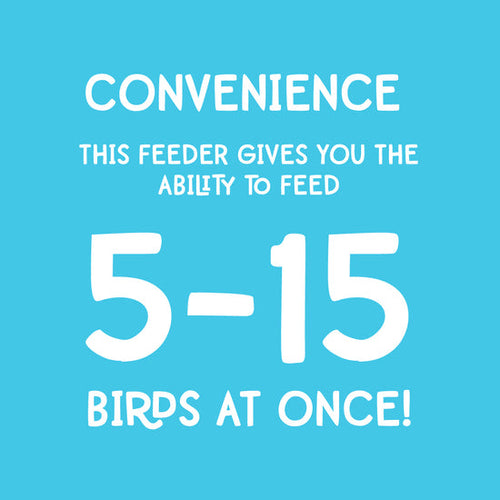 Manna Pro Flock Party® Duck & Goose Feeder