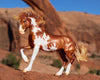 Breyer Mojave
