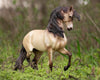 Breyer Cossaco