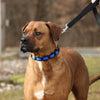 Coastal Pet Natural Control Training Collar - Additional Links