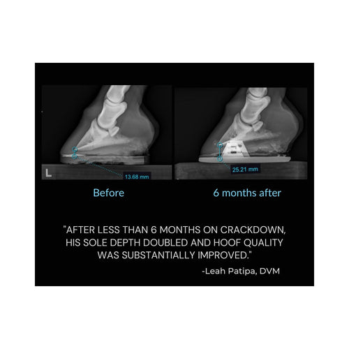 Equine Elixirs Crackdown® Hoof Support