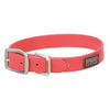 Brahma Webb Dog Collar, Hot Pink, 1 x 21-In.