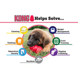 KONG Senior Kong Dog Toy