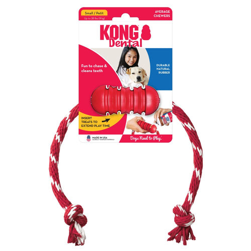 Kong Dental with Rope