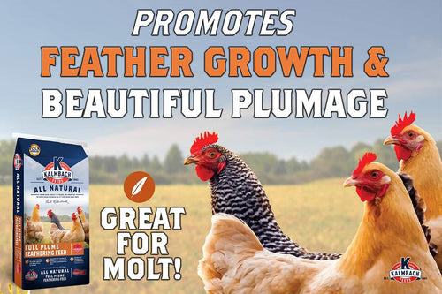 Kalmbach Full Plume Feathering Poultry Feed (Pellet) (50 LB)