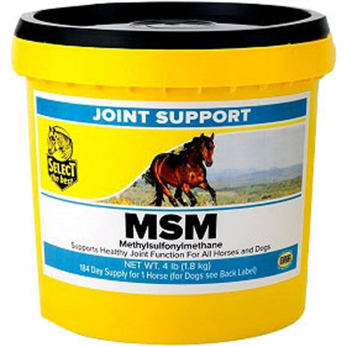 Select The Best MSM Joint Support Supplement